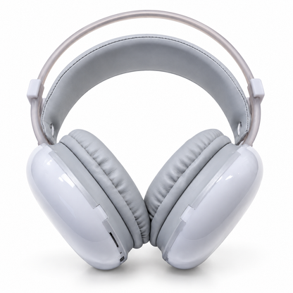 JBL BT800 MAX