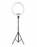 ARO DE LUZ 18"